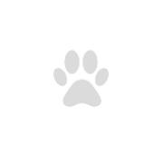 DogSelf logo