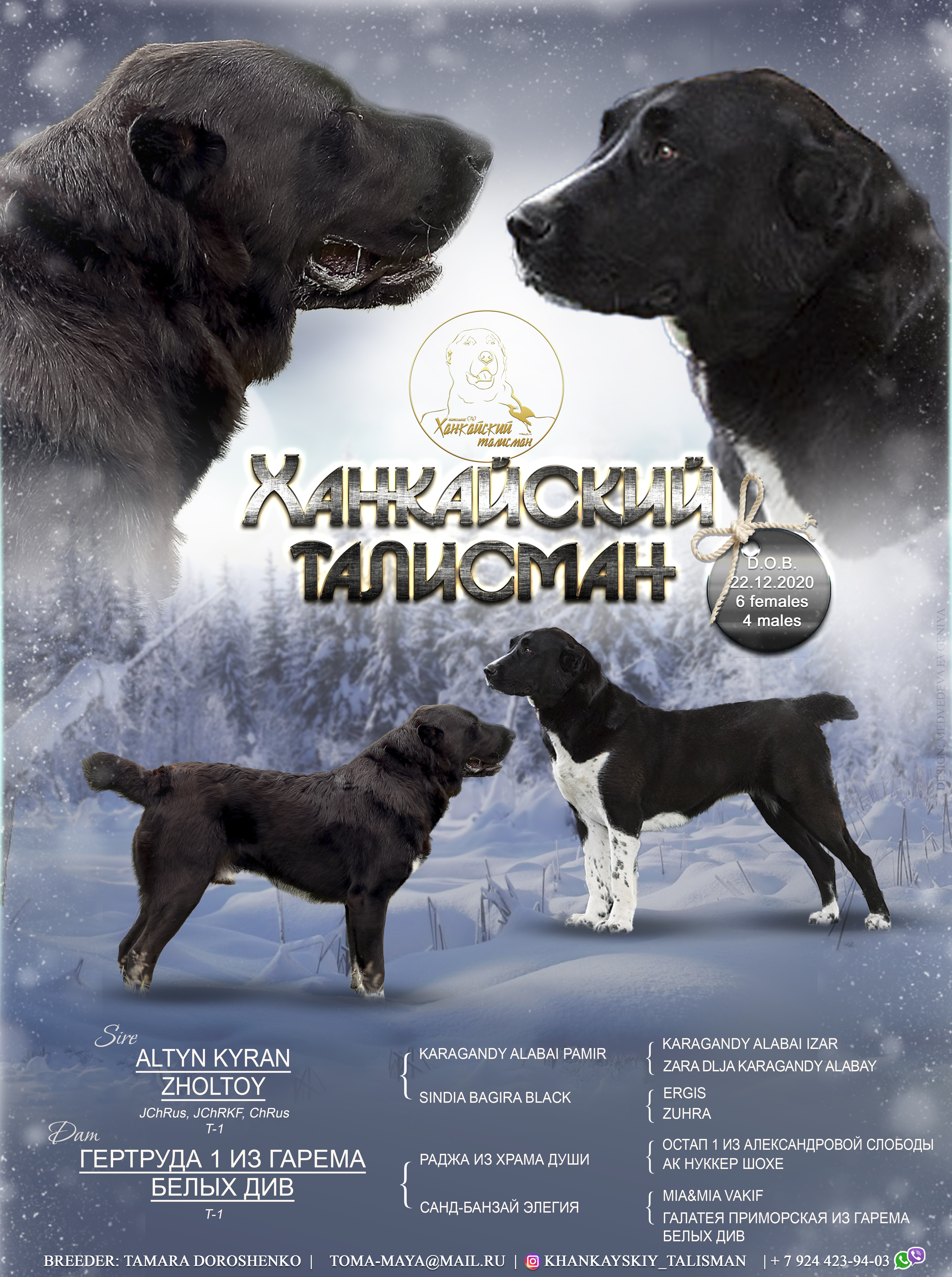 Ханкайский Талисман "Б"