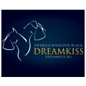 Dreamkiss logo