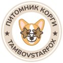 Tambovstarfox logo
