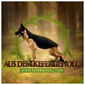 Aus dem Kefergeholc logo