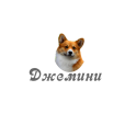 Джемини logo