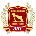 ЭНС logo