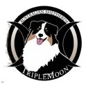 TripleMoon logo