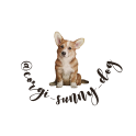 Corgy Sunny Dog logo
