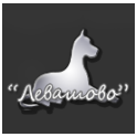 Левашово logo