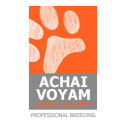 Achai Voyam logo