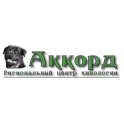 Аккорд logo