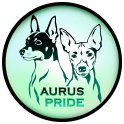 Aurus Pride logo