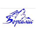 Бореалис logo