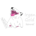 Irgen Gold logo