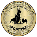 СПб РОО КЛС "Фортуна" logo