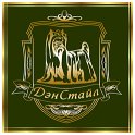 Дэн Стайл logo