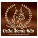 Della Monte Clio logo