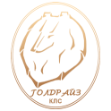 РОО КЛС "Голдрайз" logo