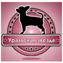 Уральская Звезда logo