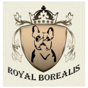 Royal Borealis logo
