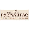 Русмайрас logo