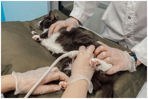 Наши пациенты