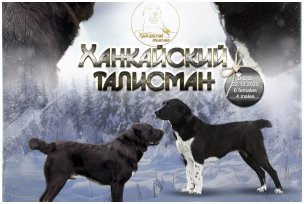 Ханкайский Талисман "Б"